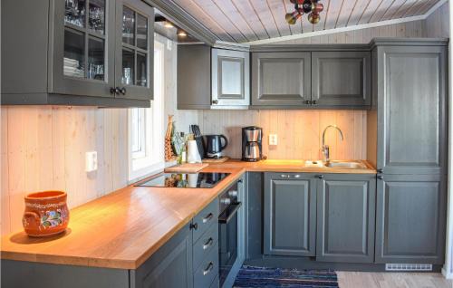 Ringsaker House | Lovely Home In Sjusjøen With Kitchen
