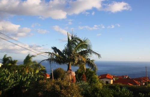 Estreito da Calheta Apartment | Lugar dos Louros 1