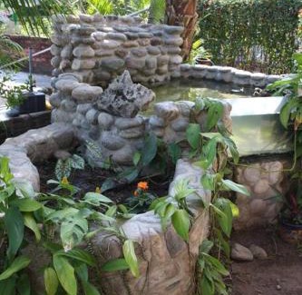 Bacocho House | Lush Garden House near beaches with private pool.