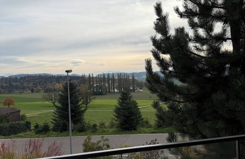 Dietikon District Condo | Lux Duplex apartment with Sauna & Cold plunge 10 mins from Zürich city