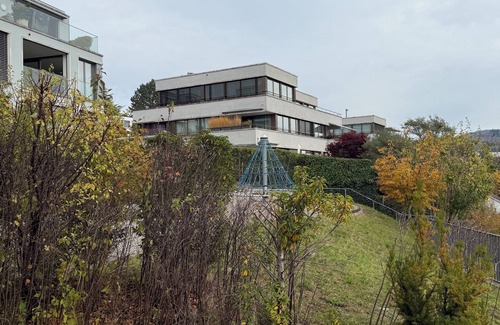 Dietikon District Condo | Lux Duplex apartment with Sauna & Cold plunge 10 mins from Zürich city