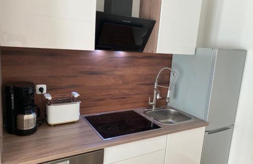 Mainz Apartment | Luxurious and distinctive new-build apartment in Mainz's charming Oberstadt district