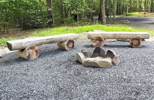 Reeders Cabin | Luxurious Lake View Log Cabin with Firepit in the Poconos