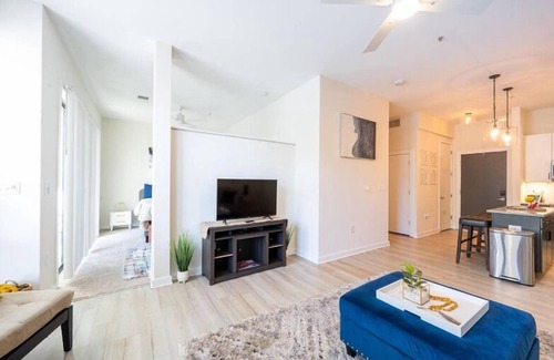 First Ward Apartment | Luxury Apartment Uptonw Wi-Fi Gym 233