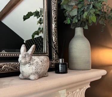 Templepatrick House | Luxury Croft Templepatrick Near Airport Rabbit and Hilton hotel