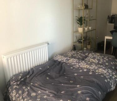 Royal Docks House | Luxury Double Room featuring comfortable sofa bed to sleep on, private balcony, and exclusive access to rooftop and garden in welcoming shared flat with host