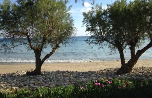 Makry Gialos House | Luxury house Makry gialos 200m to the beach 6 pers