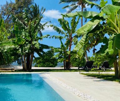 Kiwengwa Villa | Luxury LIONS VILLAS ZANZIBAR - with Private Cook&Infinity Pools