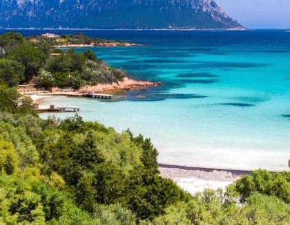 Liscia di Vacca Apartment | Luxury Liscia di Vacca - Porto Cervo A