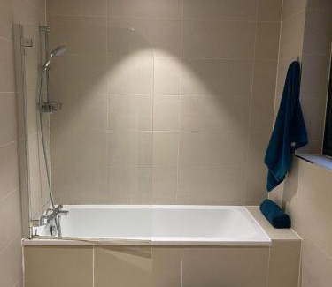 Canning Town Apartment | Luxury Penthouse Apartment