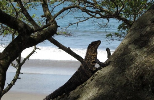 Quepos Villa | Luxury Surf Villa- Manuel Antonio Quepos Area - Close to Beaches