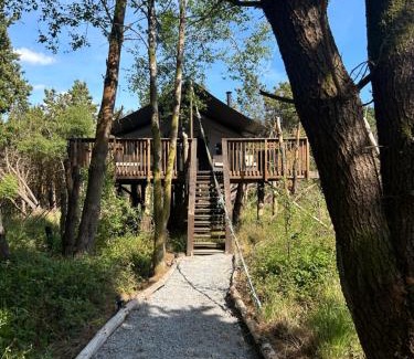 Killarney Other | Luxury tree top glamping safari tent