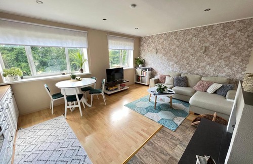 Papsaare Apartment | Mõnus hubane korter.