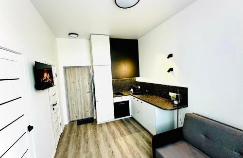 Panevezys Apartment | M&M Apartment III SELF CHECK-IN