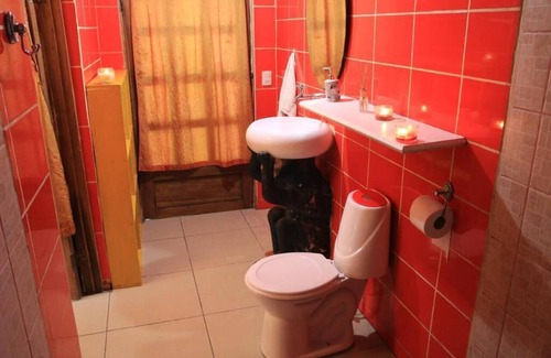 Cocles Hotel | Madre Selva Jungle Hostel