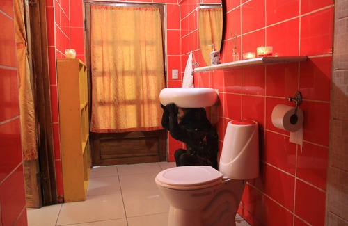 Cocles Hotel | Madre Selva Jungle Hostel