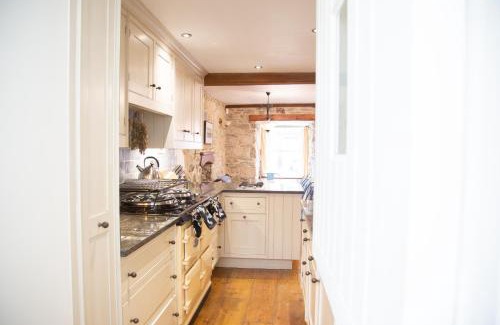 Newport House | Maesgwyn