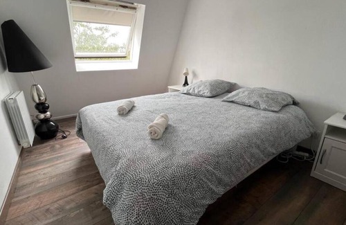Choisy-le-Roi Apartment | Magnifique Duplex Choisy le roi avec parking