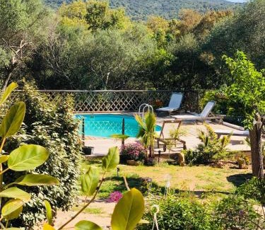 Porto-Vecchio Villa | Magnifique villa avec piscine