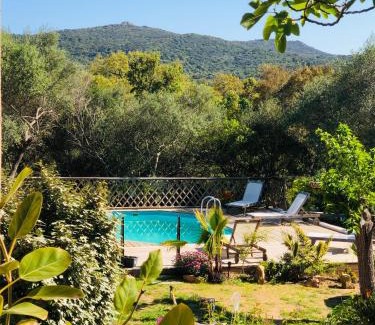 Porto-Vecchio Villa | Magnifique villa avec piscine