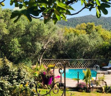 Porto-Vecchio Villa | Magnifique villa avec piscine