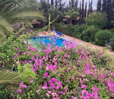 Essaouira House | Magnifique villa piscine chauffée
