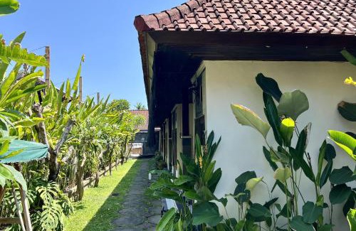 Sanur House | Mai Guest House Sanur