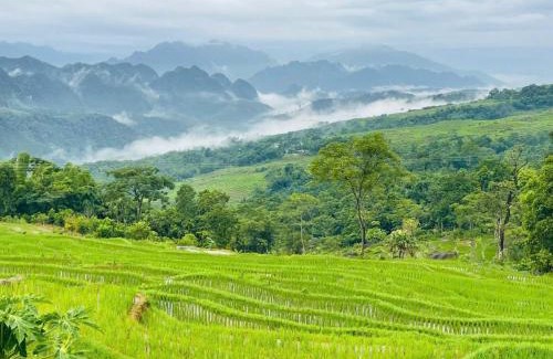 Mang Yang Hotel | Mai Hill Homestay