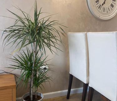 Tirana Apartment | Main apartment Rezidenca
