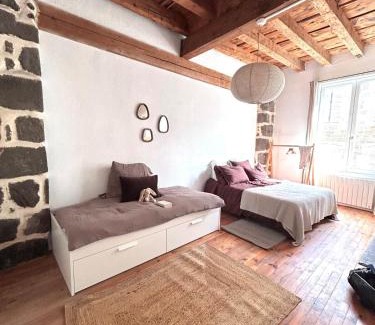 Le Puy-en-Velay House | Maison atypique - Au coeur de la vieille ville