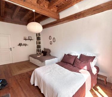 Le Puy-en-Velay House | Maison atypique - Au coeur de la vieille ville