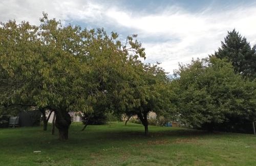 Chatillon-Sur-Loire Apartment | Maison Châtillon sur Loire - Peace and quiet
