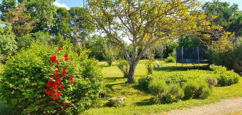 Narbonne House | Maison charmante à Narbonne avec piscine et jardin