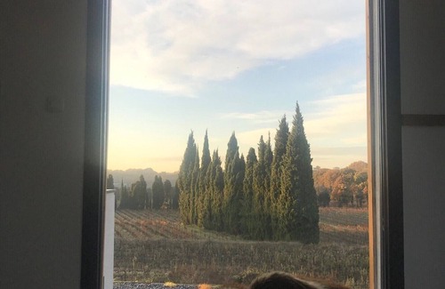 Beaumes-de-Venise House | Maison D'architecte Avec Piscine vue sur les Vignes