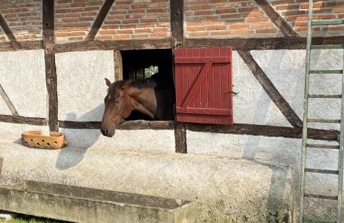 Mercy House | Maison de Ferme avec Piscine Partagée, Animaux Bienvenus - FR-1-489-368