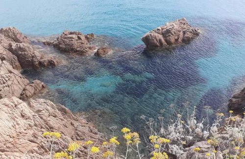 Gassin House | Maison de vacances Saint Tropez