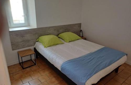 Chatillon-sur-Indre House | maison de ville proche ZOO BEAUVAL