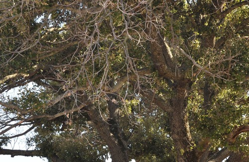 Sartene House | Maison en Pleine Nature