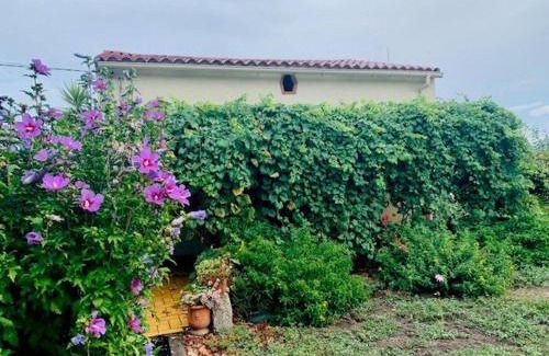 Ceret House | Maison F3 à Céret avec jardin, terrasses et climatisation, proche centre-ville - FR-1-703-96