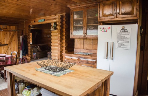 Swan Valley Cabin | Make yourself at home in this cozy, fun, family-friendly Swan Valley rental