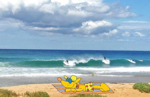 Culburra Beach House | MALL24C - Beach 100m - Culburra Beach