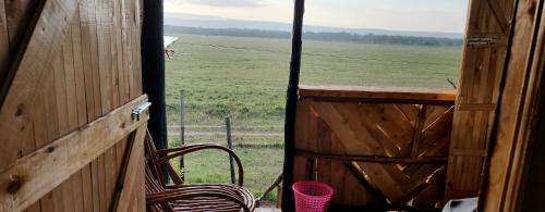 Nakuru Resort | Mambo Game View