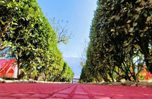 Simsa Village Villa | Manali Heart Villa