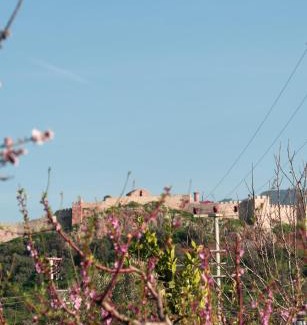 Selcuk Hotel | Mandalin Glamping