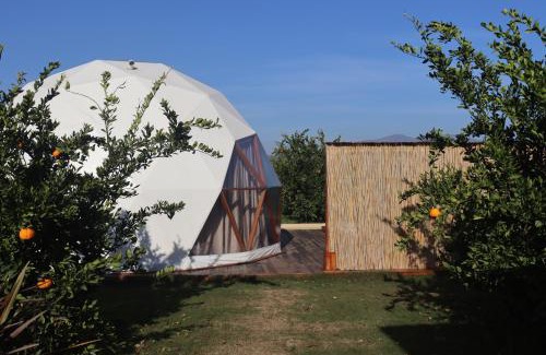 Selcuk Hotel | Mandalin Glamping