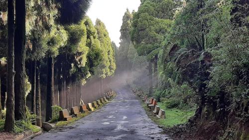 Darjeeling House | Mane Dara homestay
