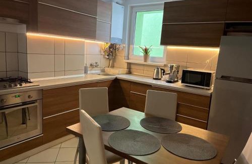 Tirgu Mures Apartment | MANGO apartman