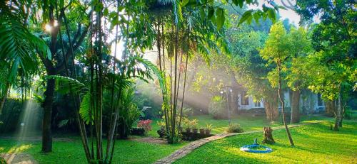 Negombo House | Mango House Japanese Guest House