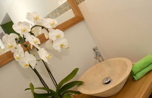 La Saline Les Bains Bed & Breakfast | Manguier room - garden view