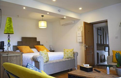 Saint-Avertin House | Manoir Drissia - Tours Centre, France